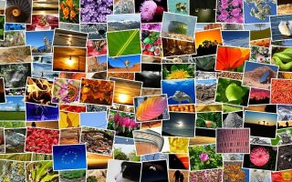 Les grandes techniques de professionnel pour prendre de bonnes photos.